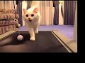 november gets on the treadmill