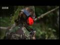 Close Quarter Battle test - SAS - Are You Tough Enough? - BBC action