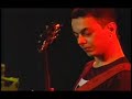 adriano campagnani lizards trio daaz animal!