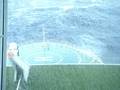 videos de MOV01736.MPG