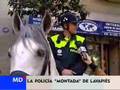 La Policía Montada de Lavapiés