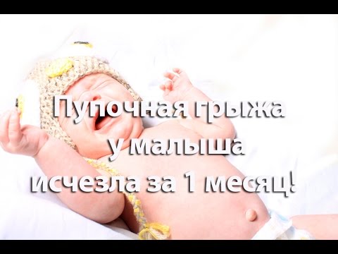 ЛЕД-, УФ-лампы для сушки гель Курятник своими руками: фото как сделать курятник