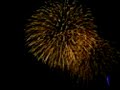 Walt Disney World Fireworks \"Wishes\"