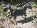 My Schleich Horses My Schleich Horses