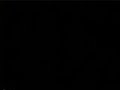 Carlinhos Brown