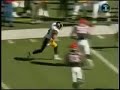 Hines Ward is Beast