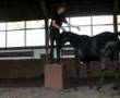 Video ansehen
