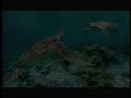 global-warming-wildlife-.html