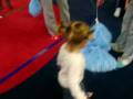 videos de 100_4225.mov