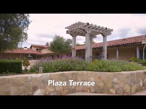 Museum Courtyards
