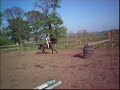 Me and harvey jumping over a metre
