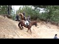Reitjagd Uenze: Der Berg 1