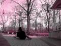 videos de holbrooklyn skate