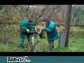 abrutis bourr�