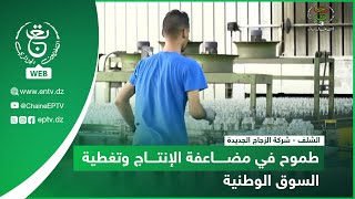 الشلف - شركة الزجاج الجديدة| طموح في مضاعفة الإنتاج وتغطية السوق الوطنية