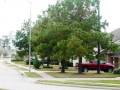 videos de Explore Northgate Crossing Spring Texas - Villages of Northgate Crossing