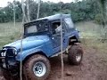 JEEP - Arapuca Spider - CJ5