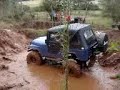 JEEP - Arapuca Spider - CJ5