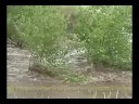 2004-06-27 Urban Flood - Ken Caryl, CO