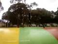 videos de flip