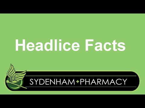 how to treat head lice nz