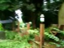 air rifle shoots fizzed up bottle of coke  first shot 