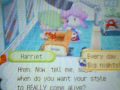Animal Crossing DS haircuts