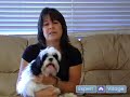 How to Housebreak a Puppy : Tips for Housebreaking Puppies