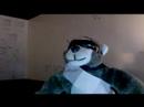 The Monkey Returns