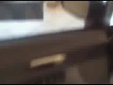 personal-walkaround-for-keerthi-on-2008-honda-accord.html