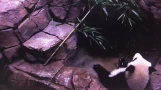 Smithsonian National Zoo