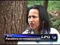 Pandillas en El Salvador