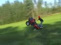 firjuling steger pr0