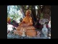 videos de Tree Of Wisdom HD