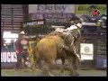 bull riding 7 bull riding 7