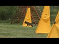 Dago Van`T Oerdijkerland|Невский ИПОдром Даго С-84