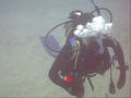 NARCOSIS TEAM VII