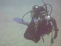 NARCOSIS TEAM VII