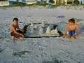 a sweet sand castle