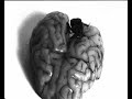 Save your Cortex