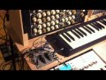 Vermona Perfourmer MK II 2 Doepfer Dark Energy Doepfer Dark Time A-100 pure analog sounds