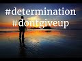 Enjoy Self Affirmations with Eleesha at www.eleesha.com