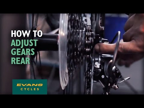 evans cycles evans cycles