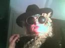 Re: Ripe TV - Bridget Halloween