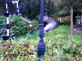 Stoomtrein Nienoord