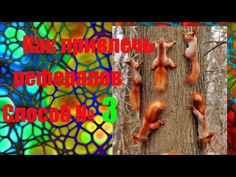 YouTube Трейлер
