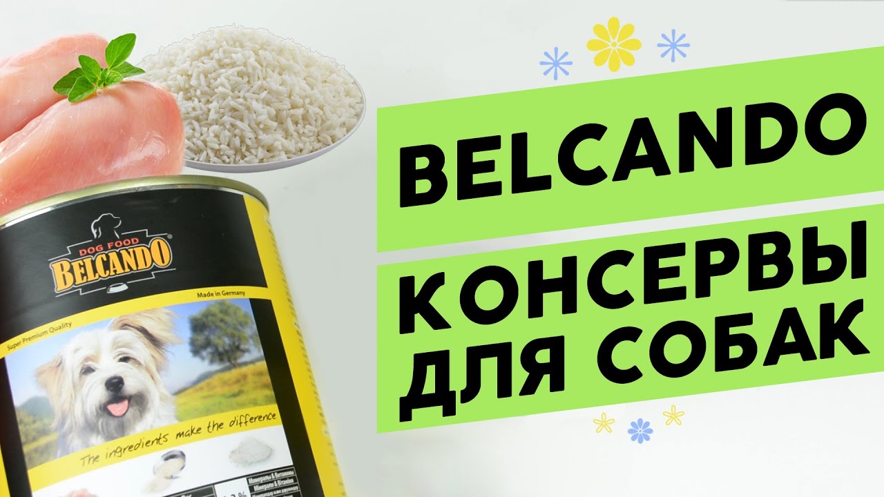 Belcando - влажные корма-консервы для собак