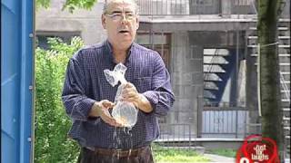 Phim choi kham - Reverse Downing Fishies