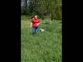 Caniche video