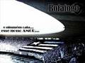 TORCIDA DO BOTAFOGO